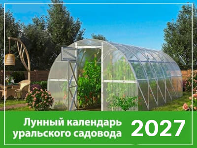 Теплица календарь 2026